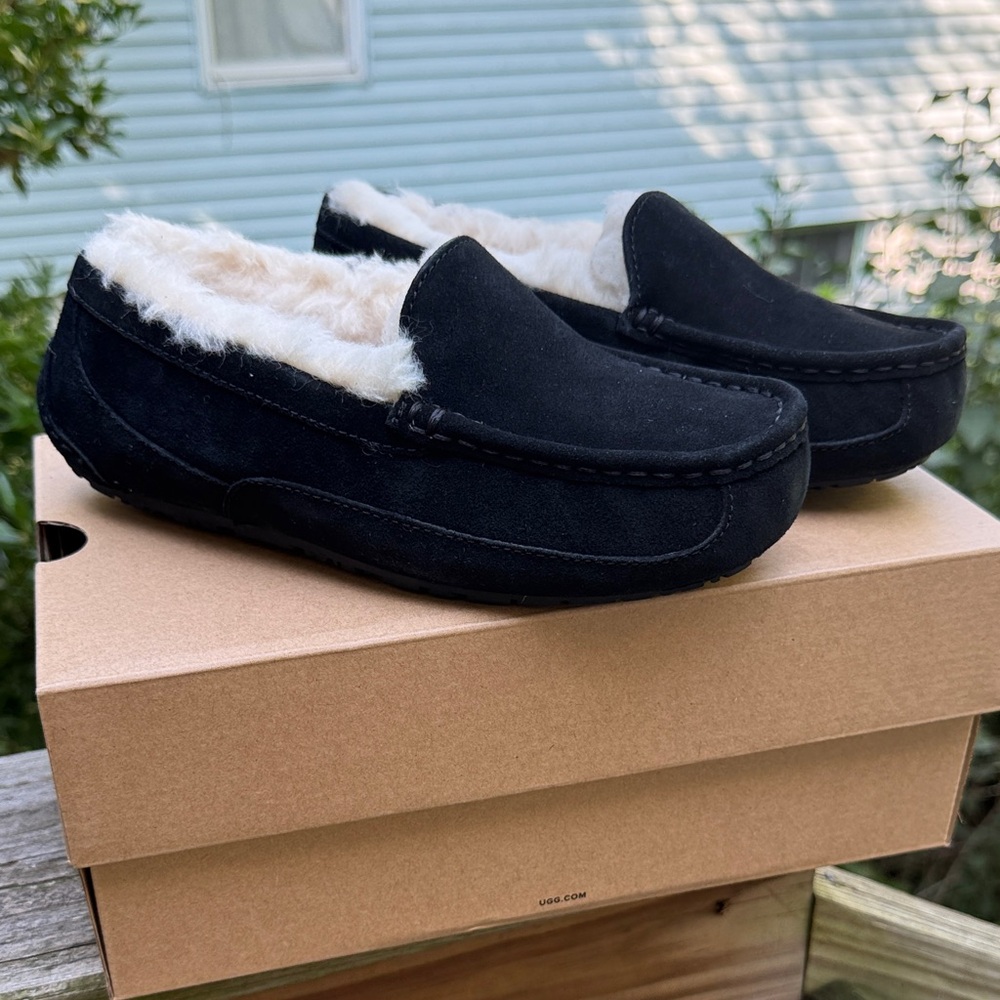 Brand New - UGG - Kids Ascot - Size 4